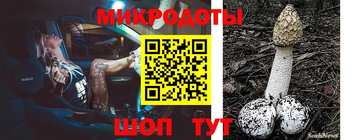 Галлюциногенные грибы Psilocybine cubensis Химки