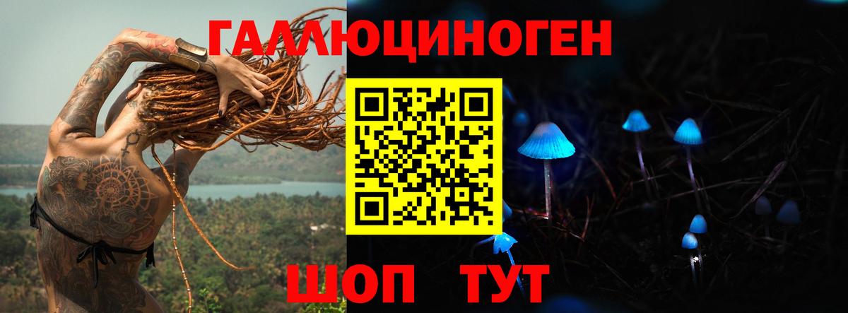 Псилоцибиновые грибы MAGIC MUSHROOMS  магазин продажи   Химки  Вход с VPN  Галлюциногенные грибы Cubensis 